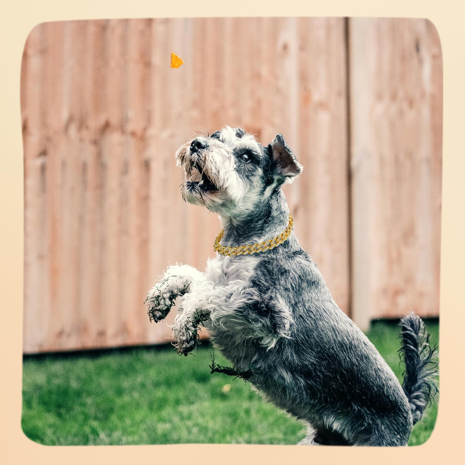 Dog Chain Diamond Collar Walking Metal Chain Necklace with Secure Buckle Pet Cuban Style Collar Jewelry Accessories for Small Medium Large Dog Cats