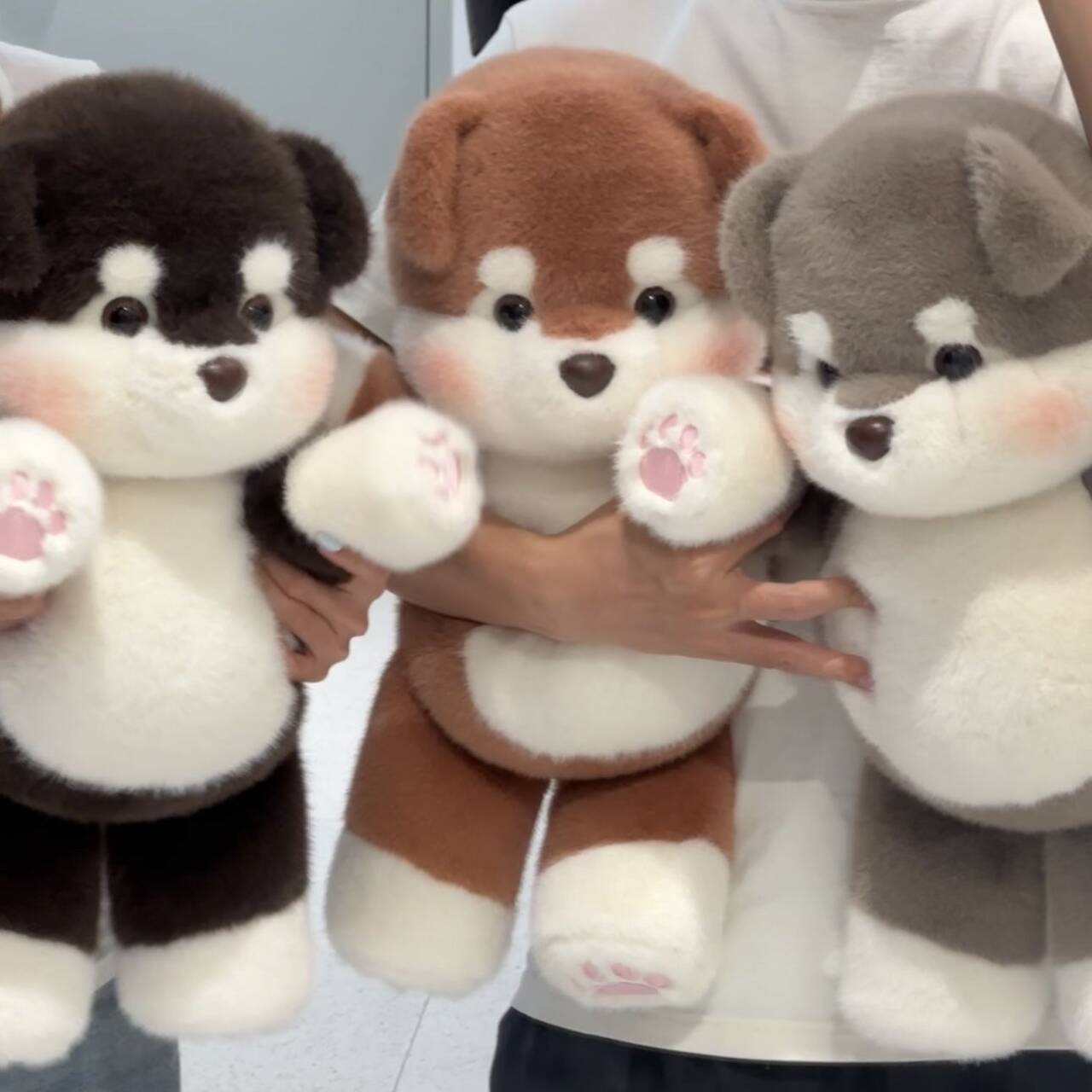 Chai: Chubby Husky Plushie