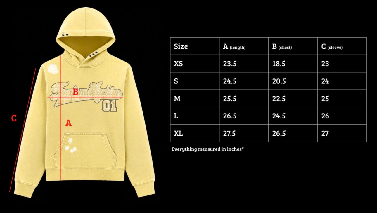 Vintage Script Graphic Distressed Hoodie
