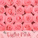 LIGHT PINK