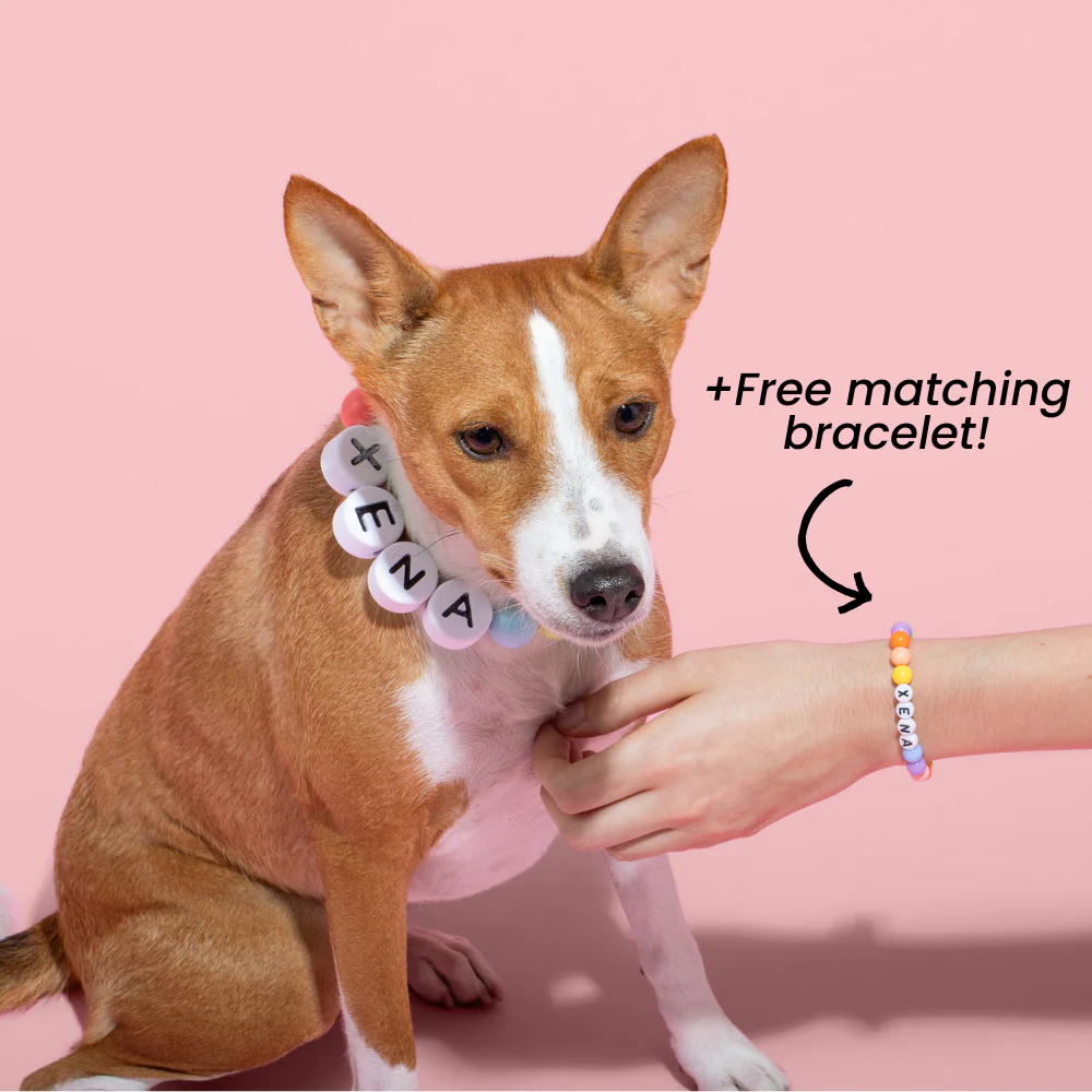 BFF Dog Collar + Free Matching Bracelet (BUY 2 GET 1 FREE)