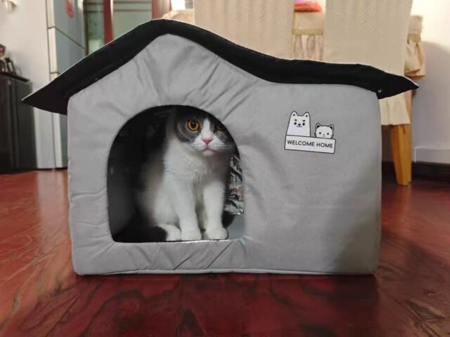 Cooling Cat House