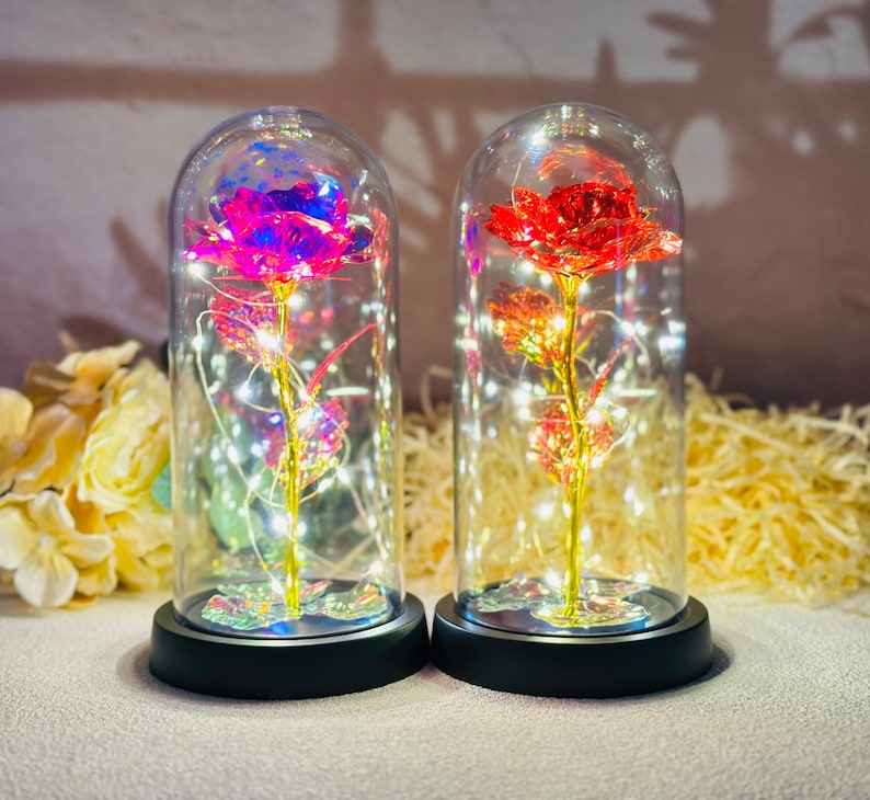 Galaxy Rose in Glass Dome with LED Light, Romantic Gift