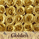 GOLDEN
