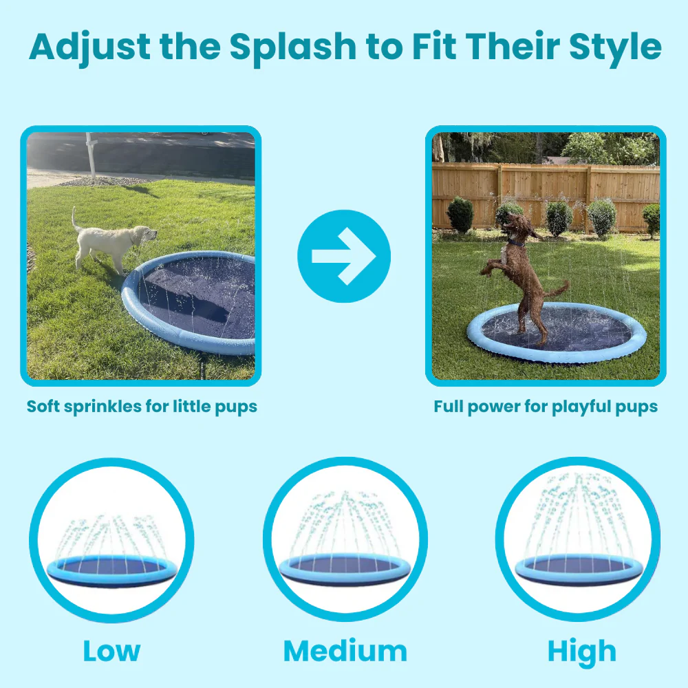 PET SPLASH PAD