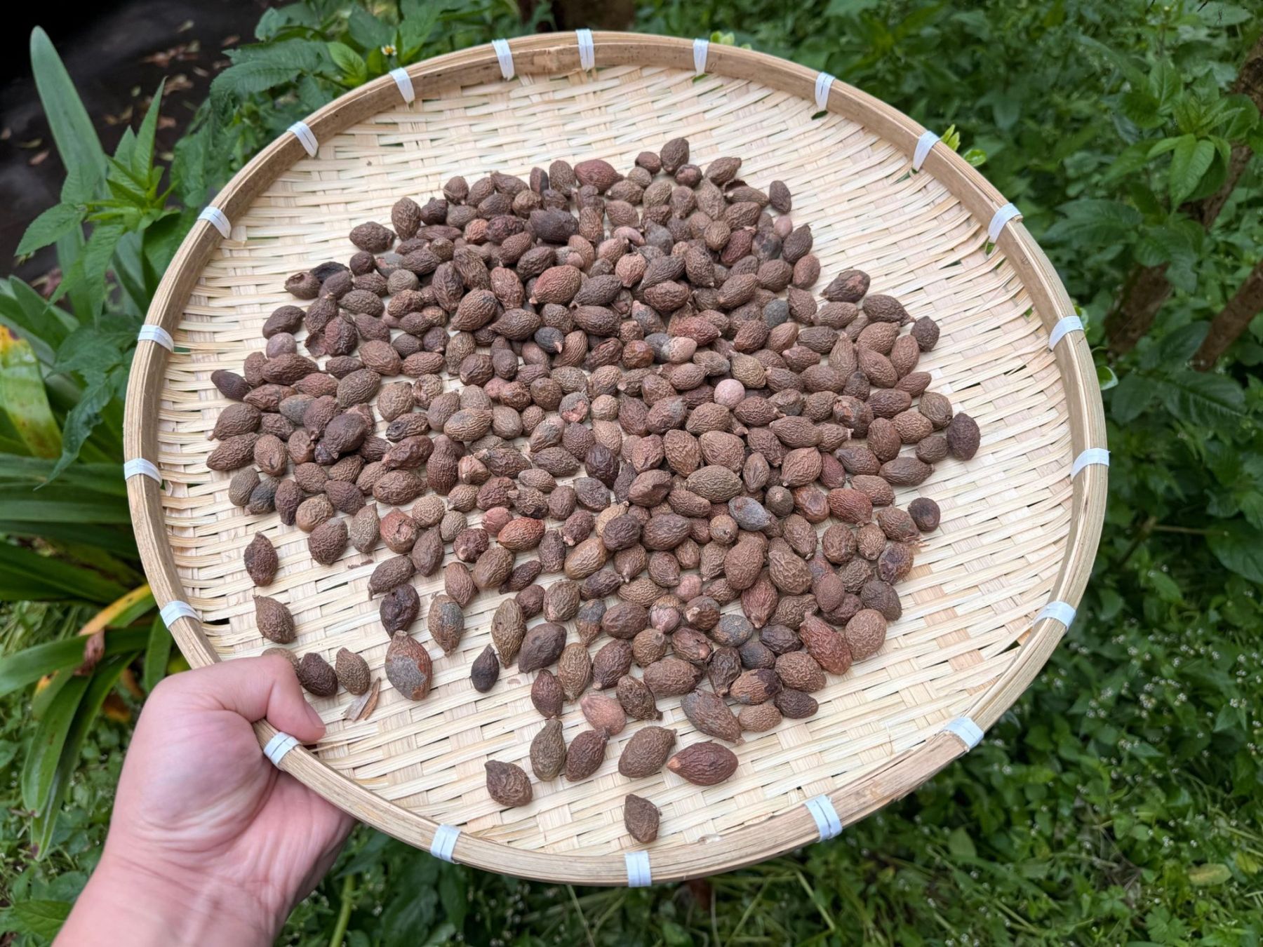 반대해