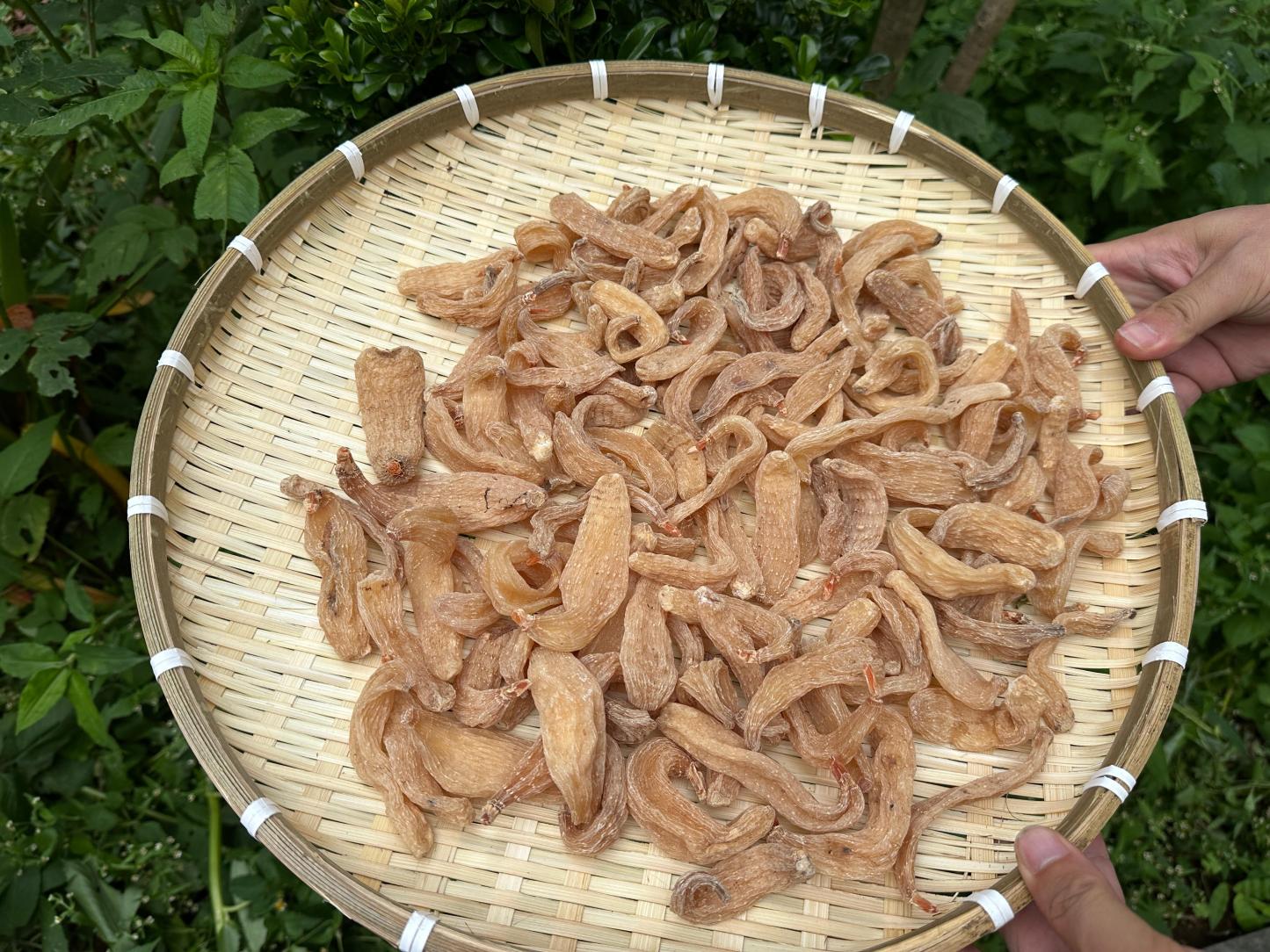천마