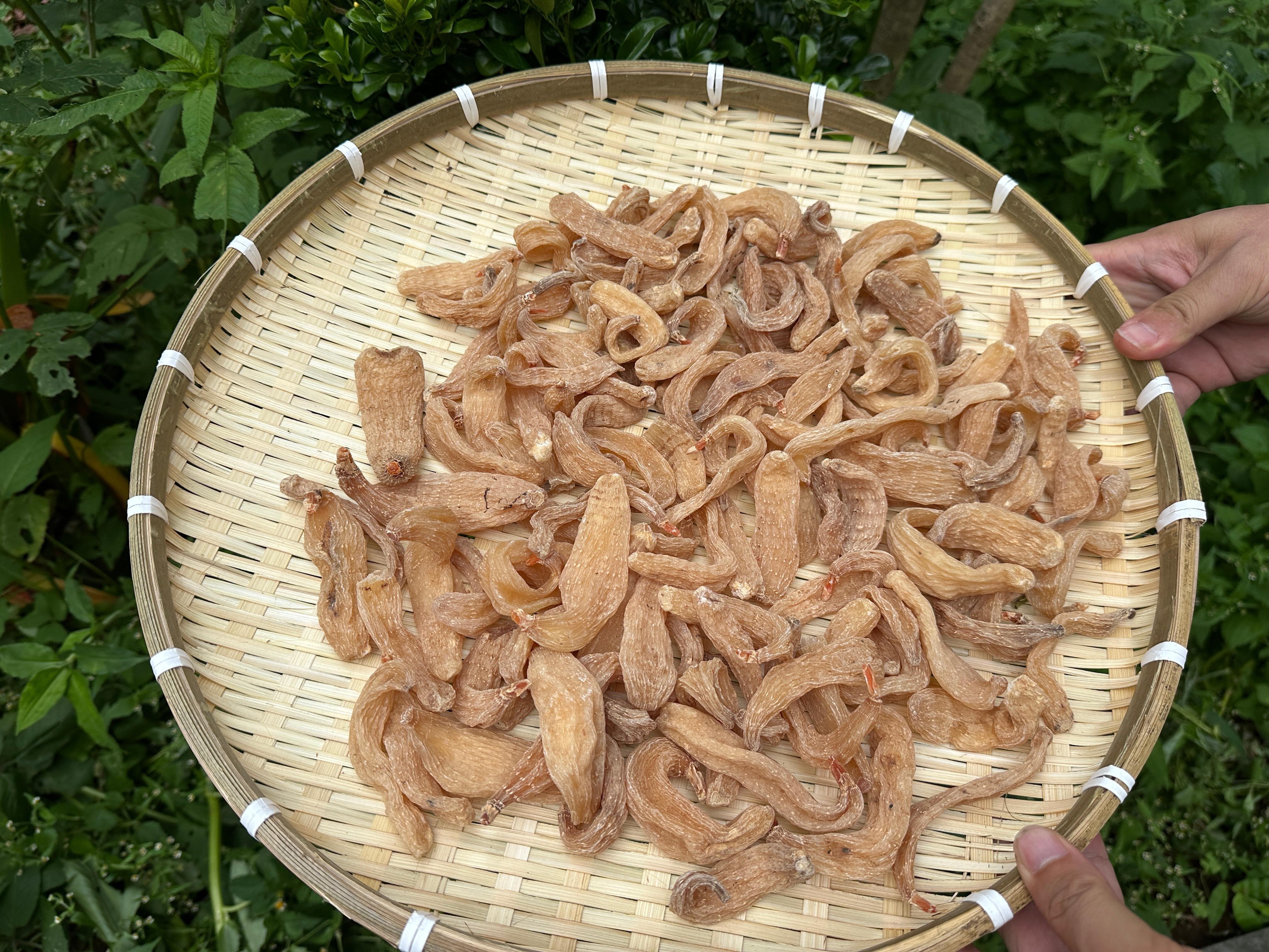 천마