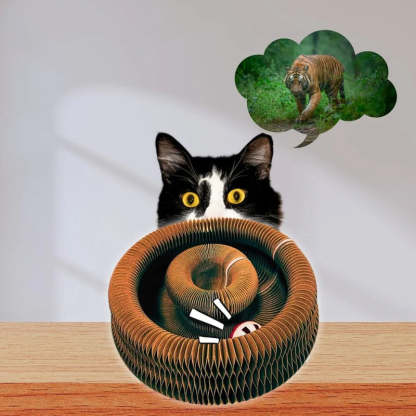 Foldable Cat Scratching Board With Bell Accordion