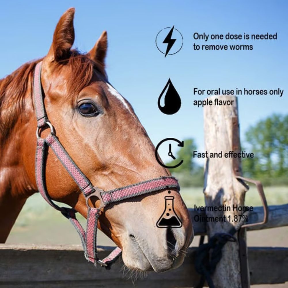 ivermectin Horse Paste 1.87% 6.08g Tubes