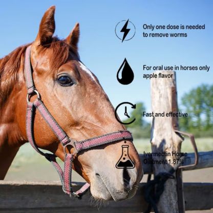 ivermectin Horse Paste 1.87% 6.08g Tubes