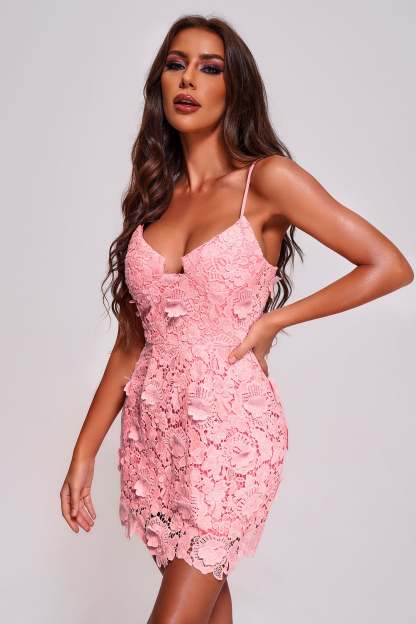 Trinity Lace Mini Dress