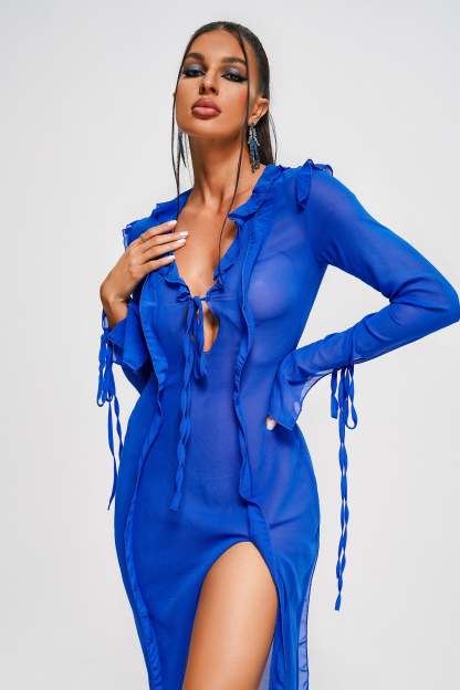 Niako Mesh Midi Dress