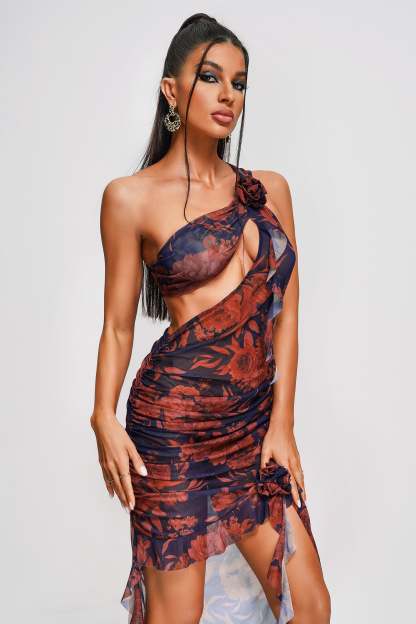 Genara Printed Mesh Mini Dress