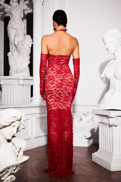 Tearnie Healter Lace Maxi Dress