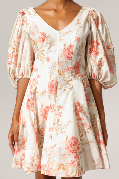 Egbert V-Neck Floral Printed Mini Dress