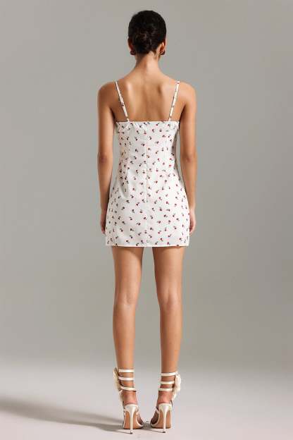 Demily Printed Mini Dress