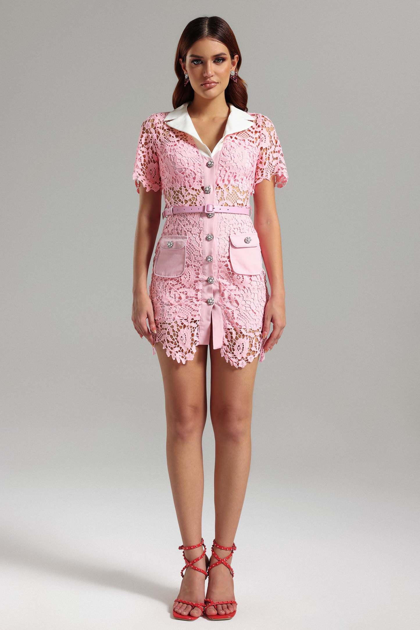 Noma Lace Mini Dress