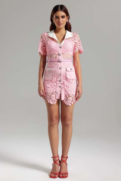 Noma Lace Mini Dress