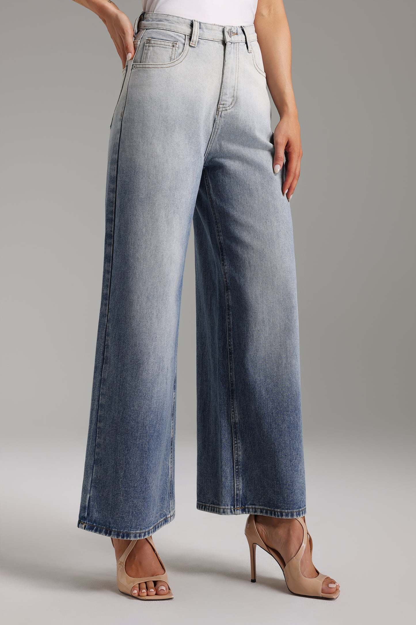 Pallas Gradient Wide-Leg Jeans