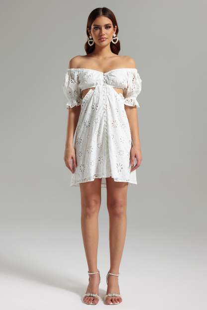 Susa Lace Cut Out Mini Dress
