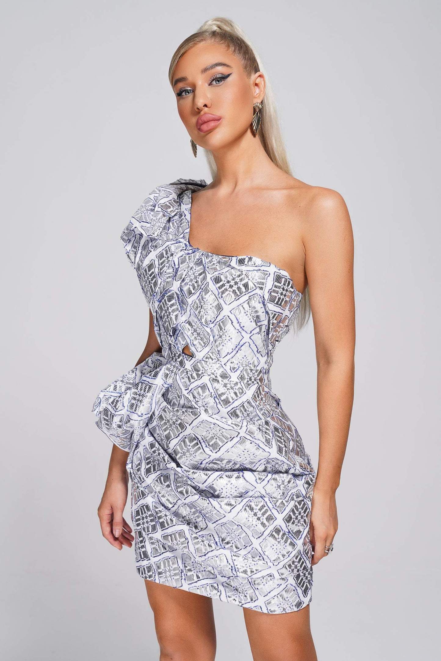 Cerena Jacquard Mini Dress