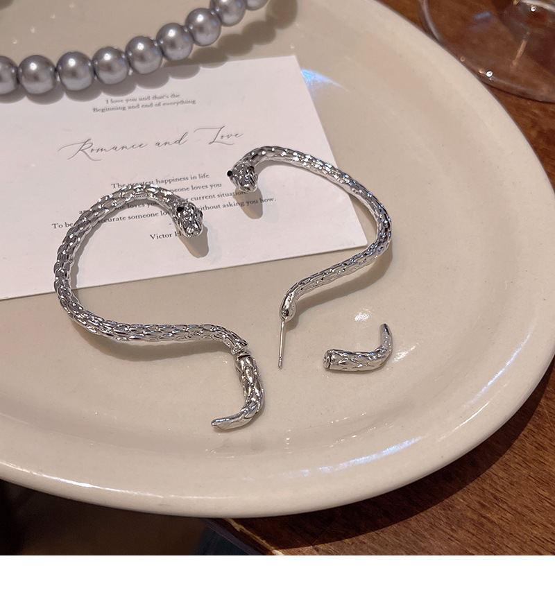 Snake-shaped stud earrings with a retro design, dark and niche earrings, and cold and stylish ear accessories