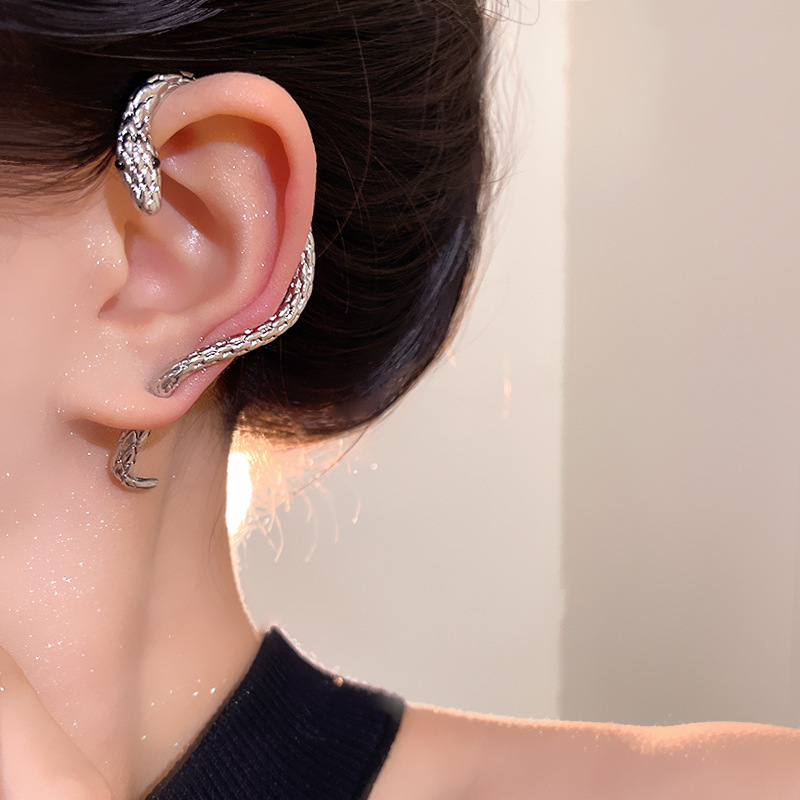 Snake-shaped stud earrings with a retro design, dark and niche earrings, and cold and stylish ear accessories