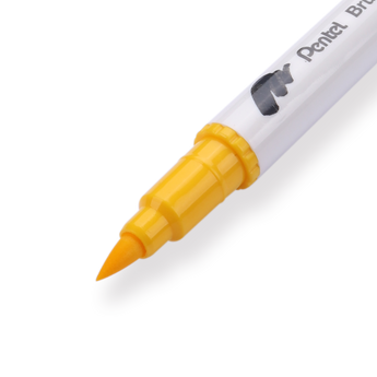 Pentel Brush Sign Pen Twin - Set of 12