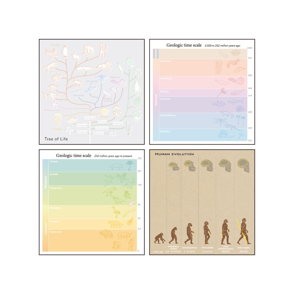 Evolutionary Biology STUDY HOLIC Bundle / GreenFlash - bungu