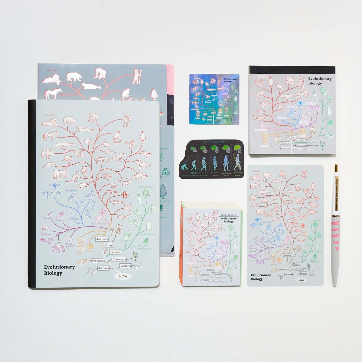 Evolutionary Biology STUDY HOLIC Bundle / GreenFlash - bungu