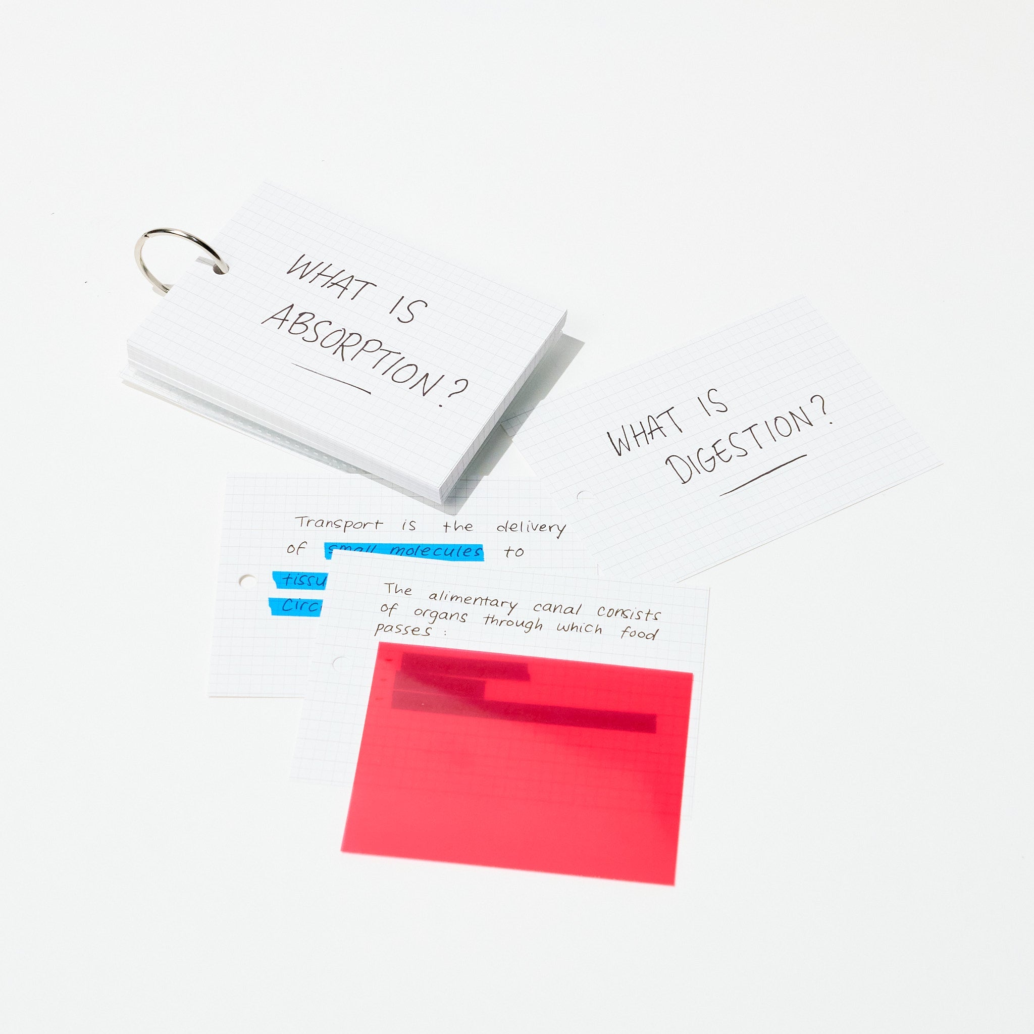 Kept STUDYCA Mini Study Card / Raymay Fujii - bungu