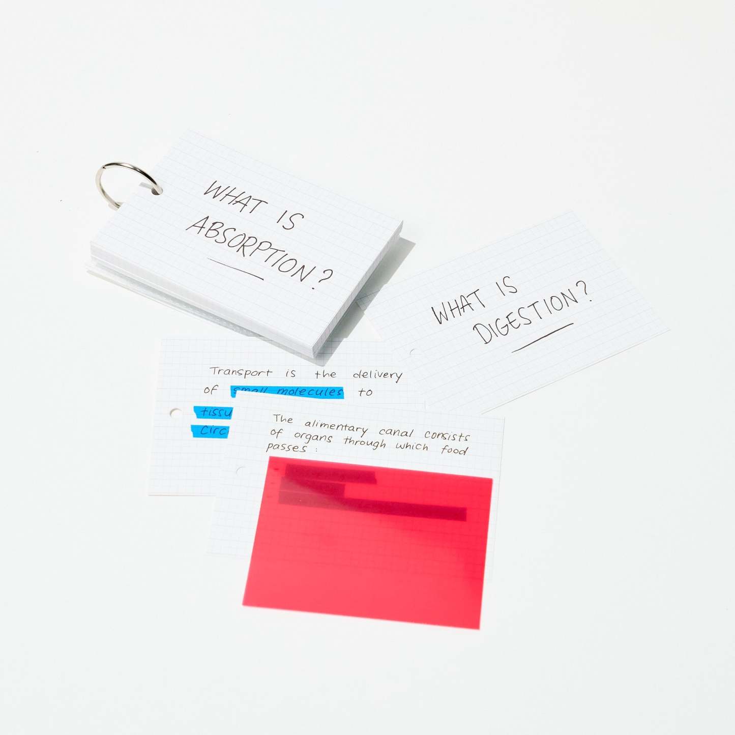 Kept STUDYCA Mini Study Card / Raymay Fujii - bungu
