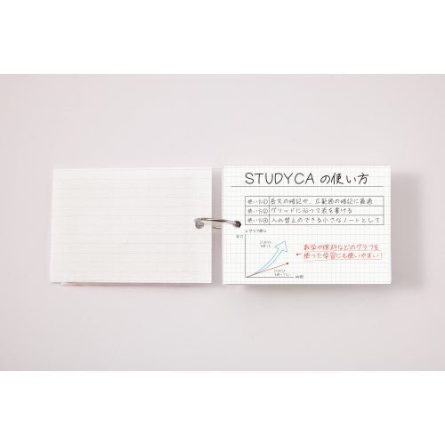 Kept STUDYCA Mini Study Card / Raymay Fujii - bungu
