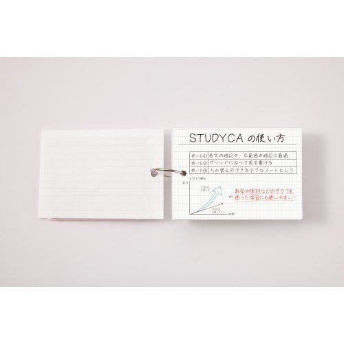 Kept STUDYCA Mini Study Card / Raymay Fujii - bungu