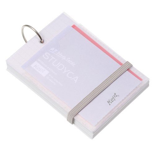 Kept STUDYCA Mini Study Card / Raymay Fujii - bungu