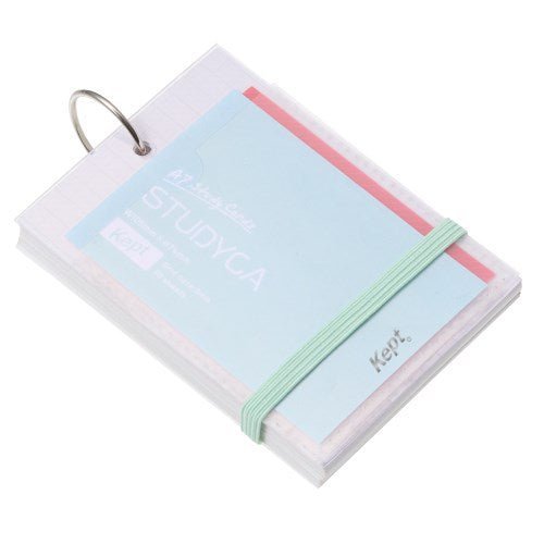 Kept STUDYCA Mini Study Card / Raymay Fujii - bungu