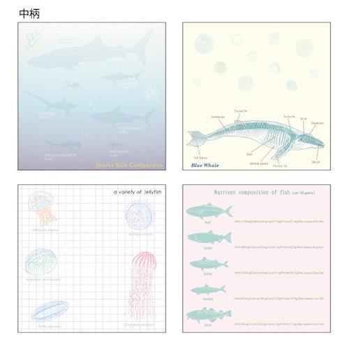 Marine Biology STUDY HOLIC Bundle / GreenFlash - bungu