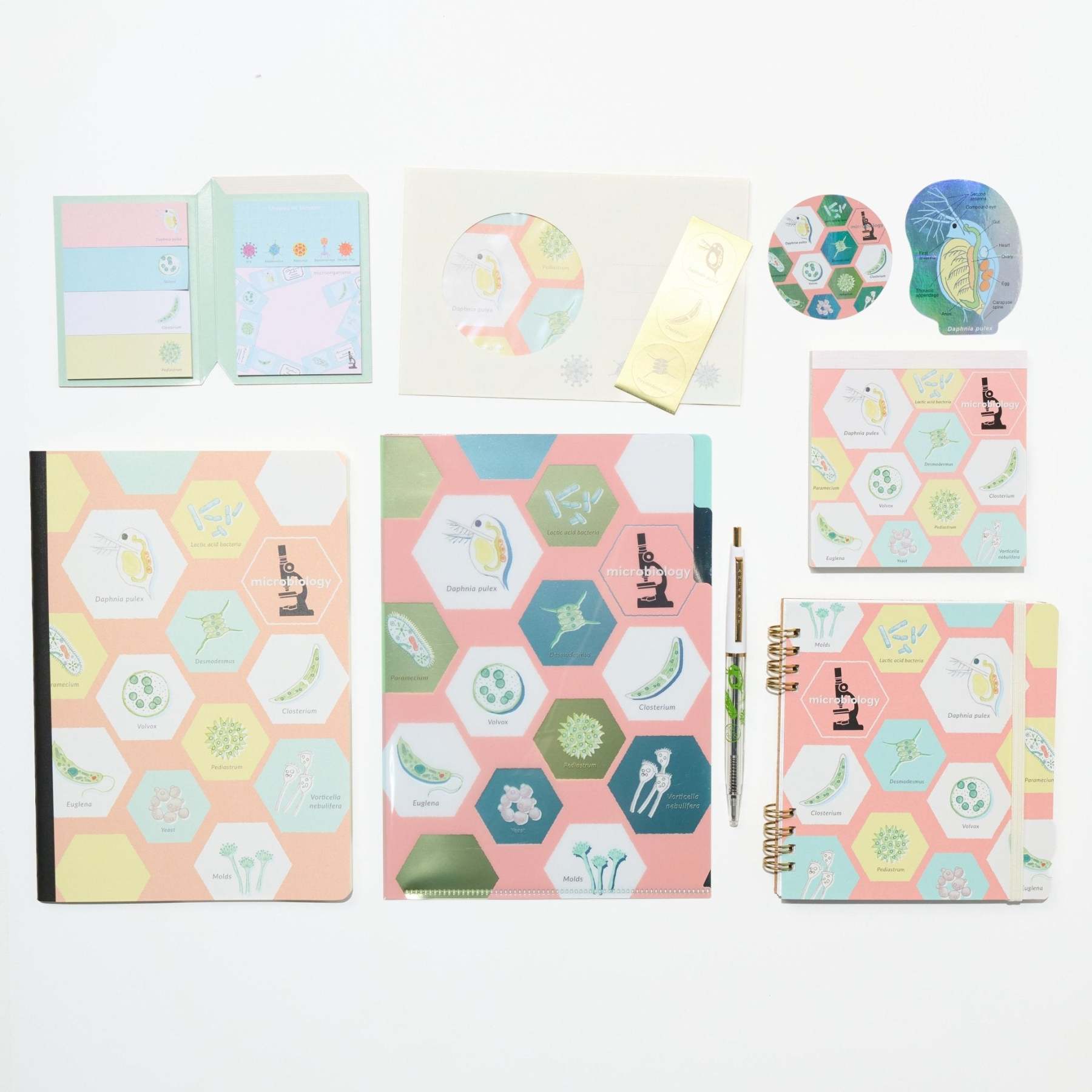 Microbiology STUDY HOLIC Bundle / GreenFlash - bungu