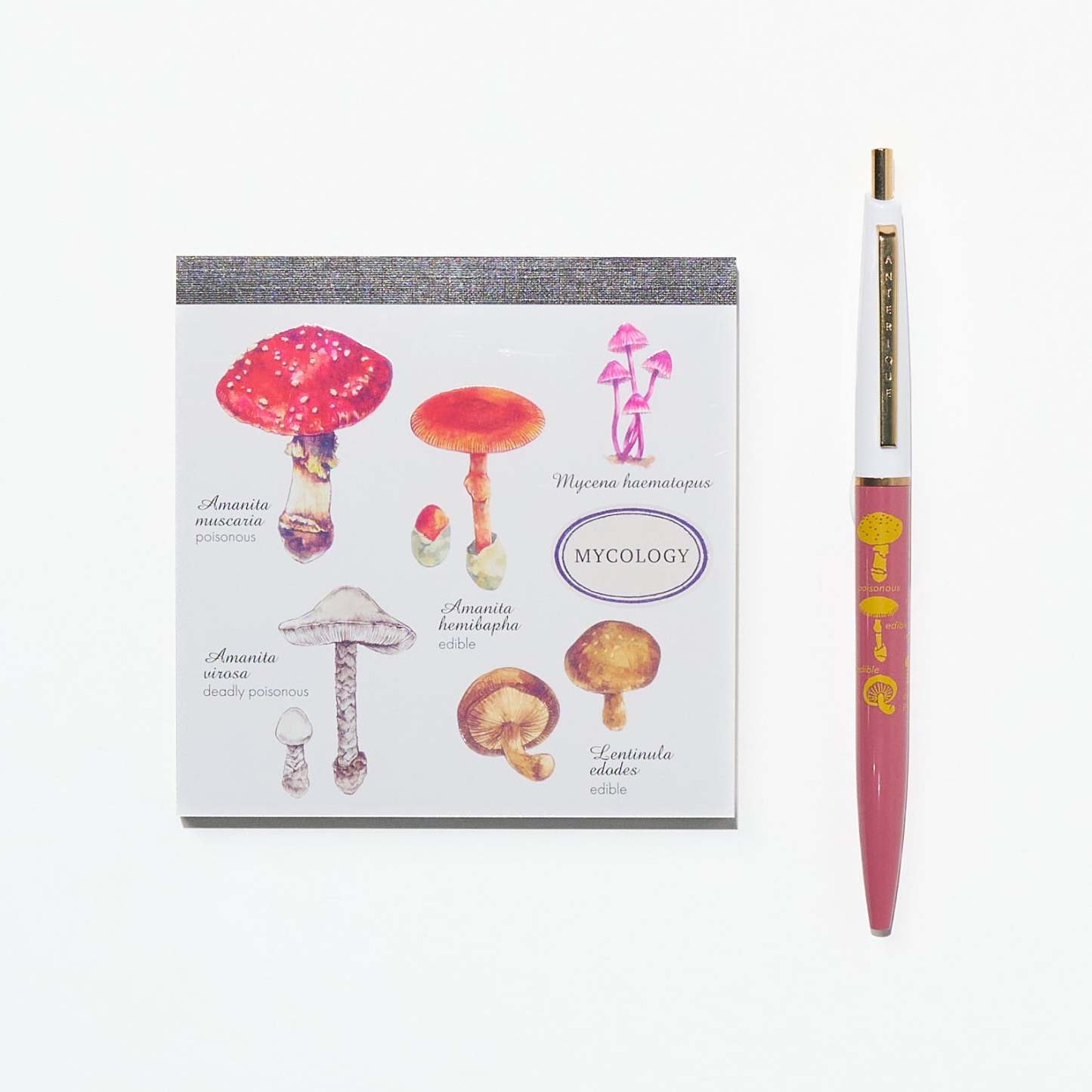 Mycology STUDY HOLIC Bundle / GreenFlash - bungu
