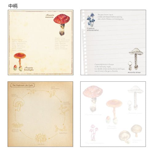 Mycology STUDY HOLIC Bundle / GreenFlash - bungu