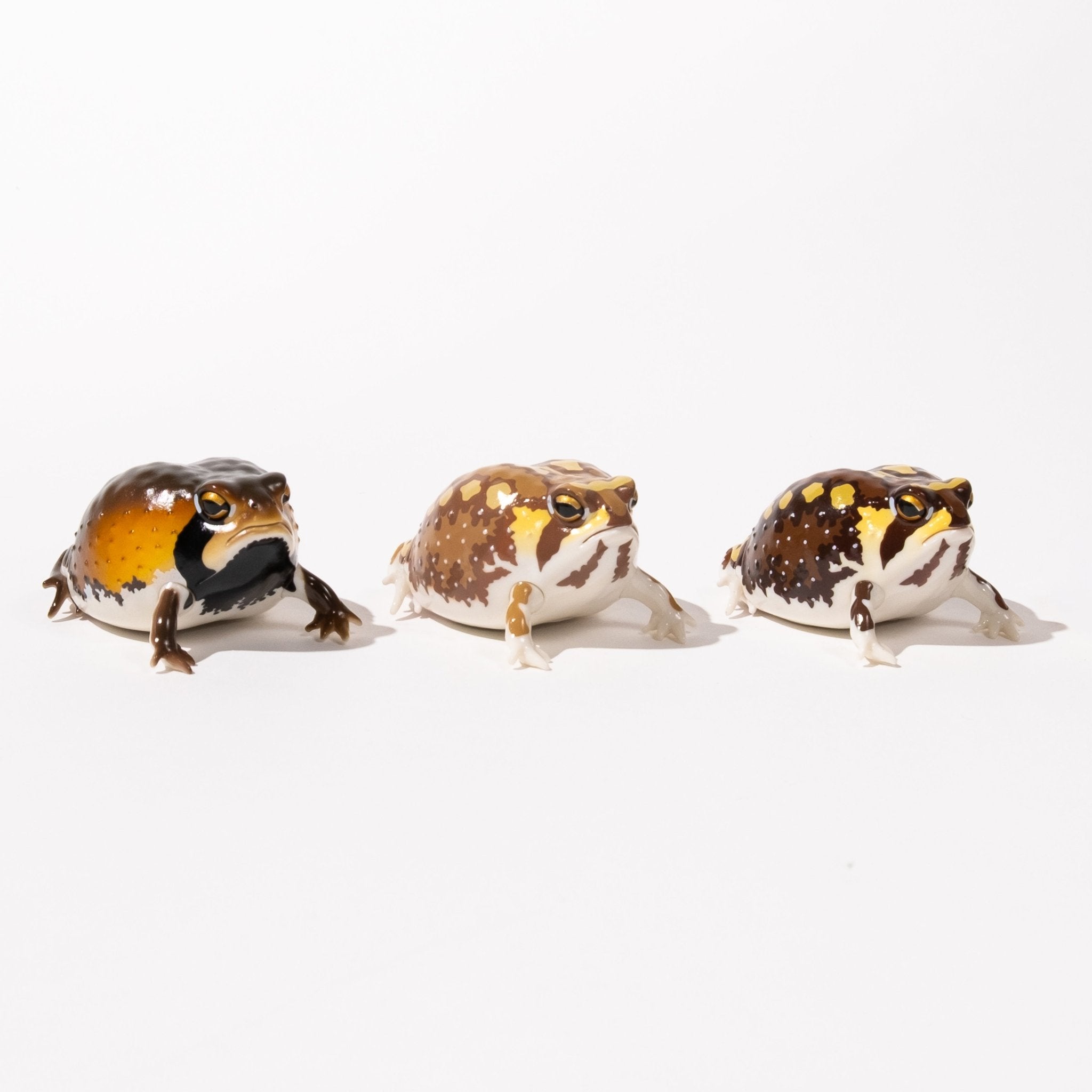 NTC Glossy - Skinned Chubby Frogs Gacha Capsule - bungu