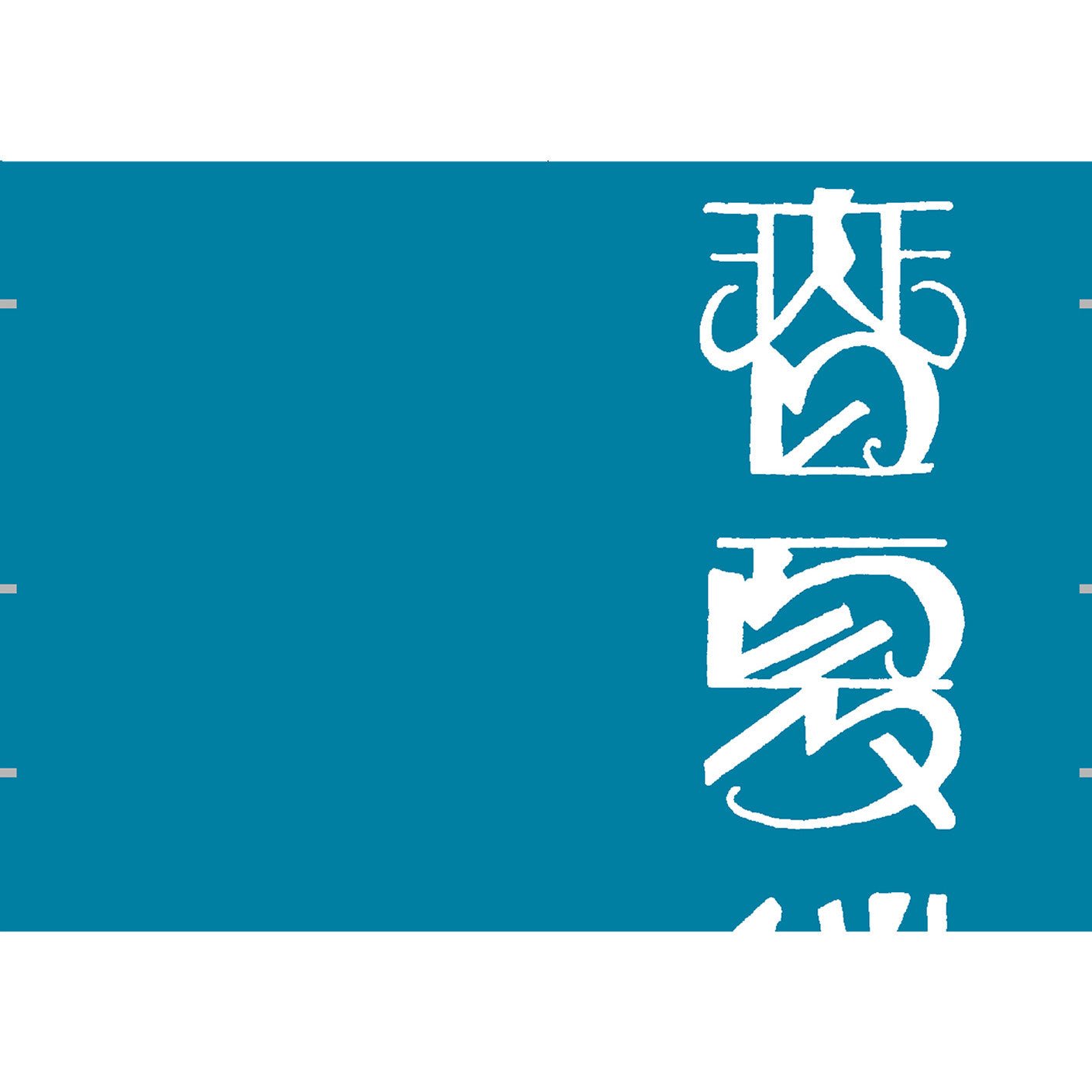 Practical Hand - Drawn Characters Design Book / Seigensha - bungu