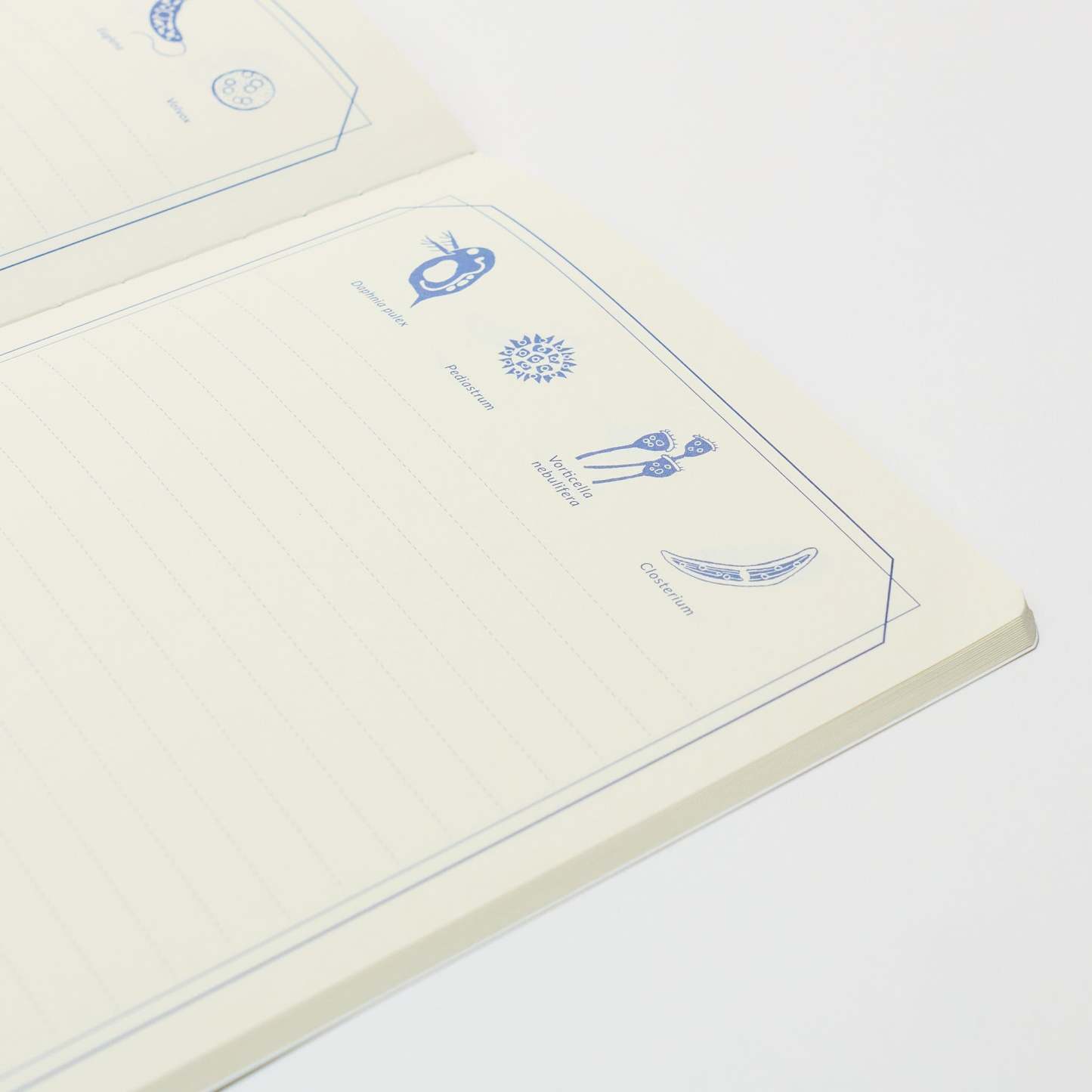 STUDY HOLIC A5 Notebook / GreenFlash - bungu