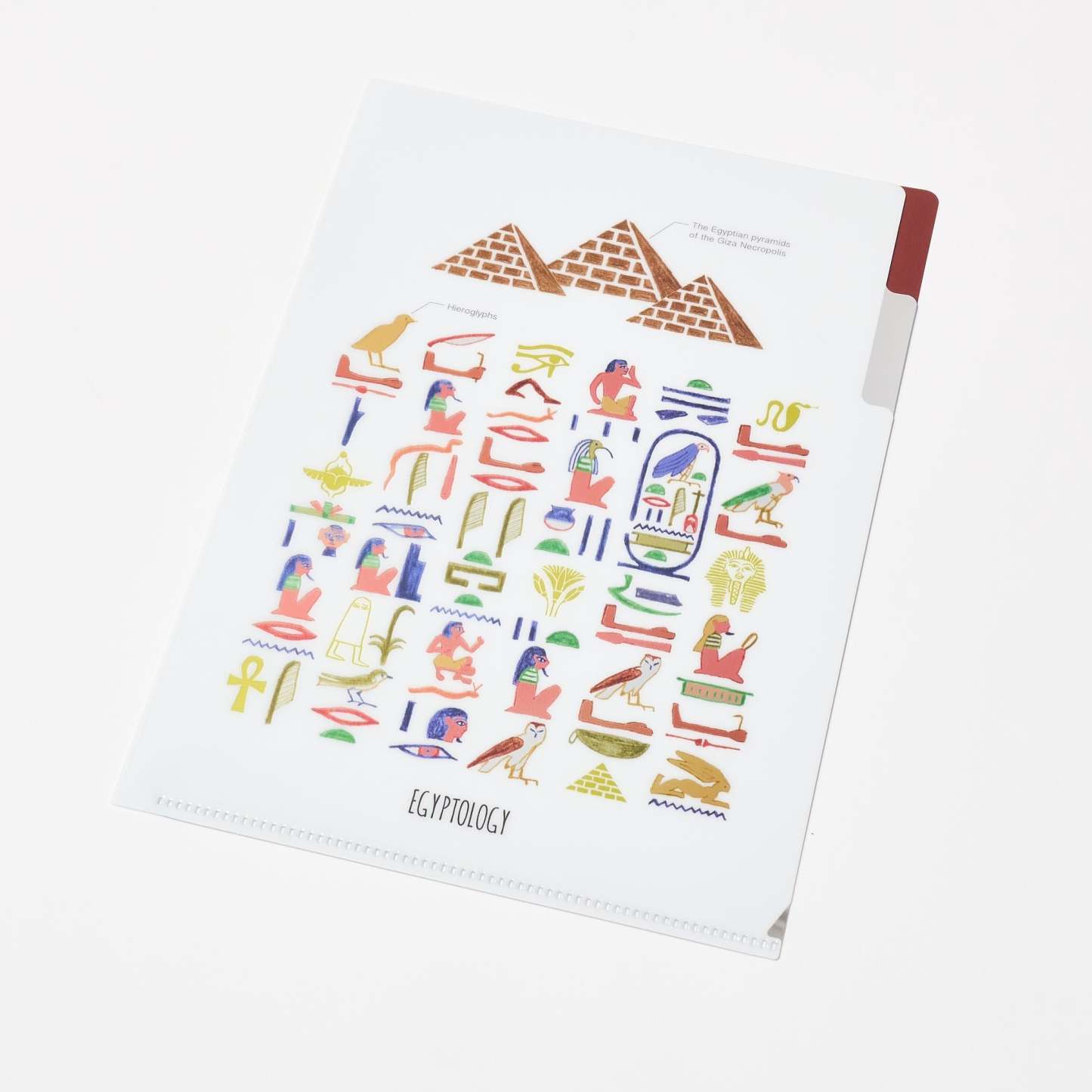 STUDY HOLIC A5 Pocket Clear File Folder / GreenFlash - bungu