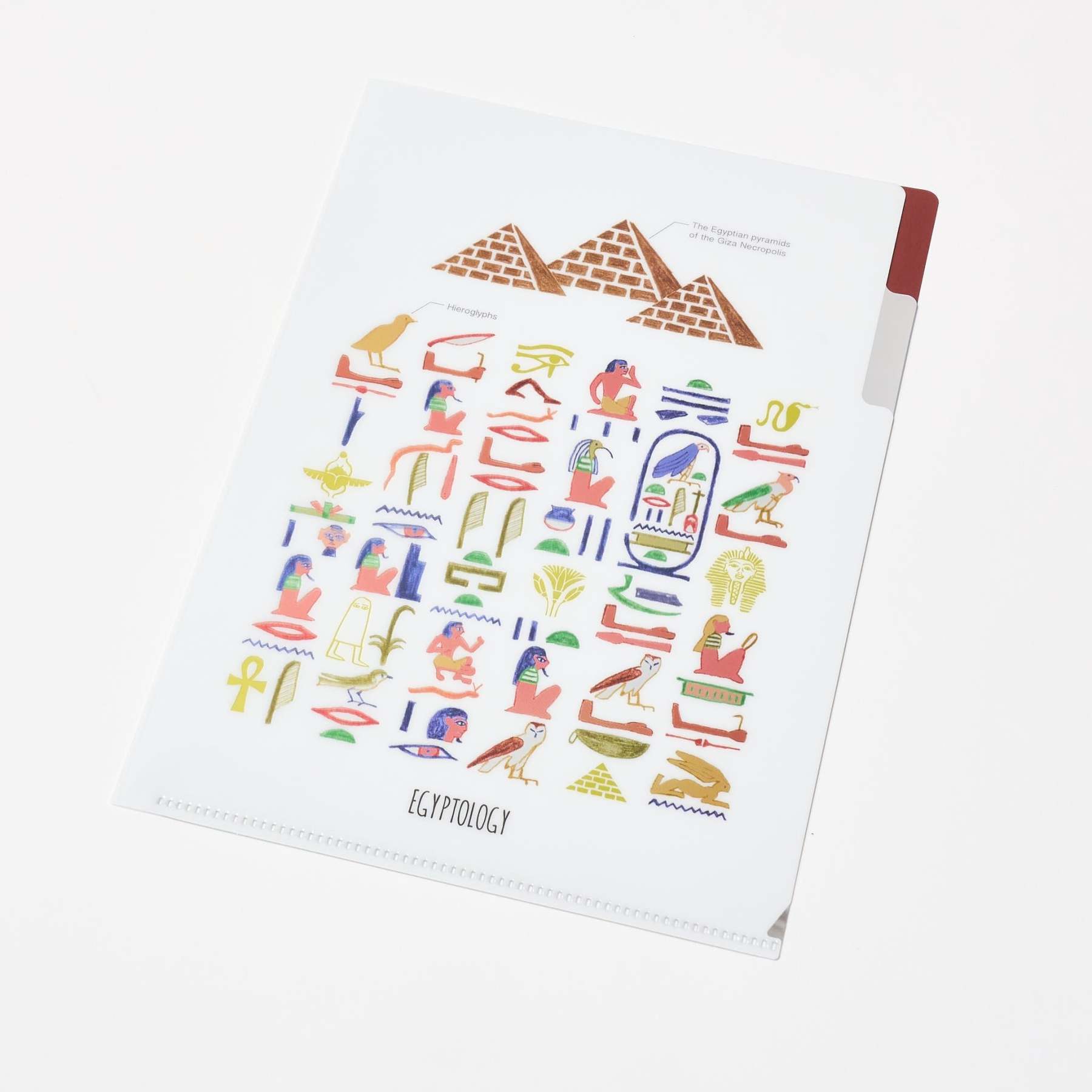 STUDY HOLIC A5 Pocket Clear File Folder / GreenFlash - bungu