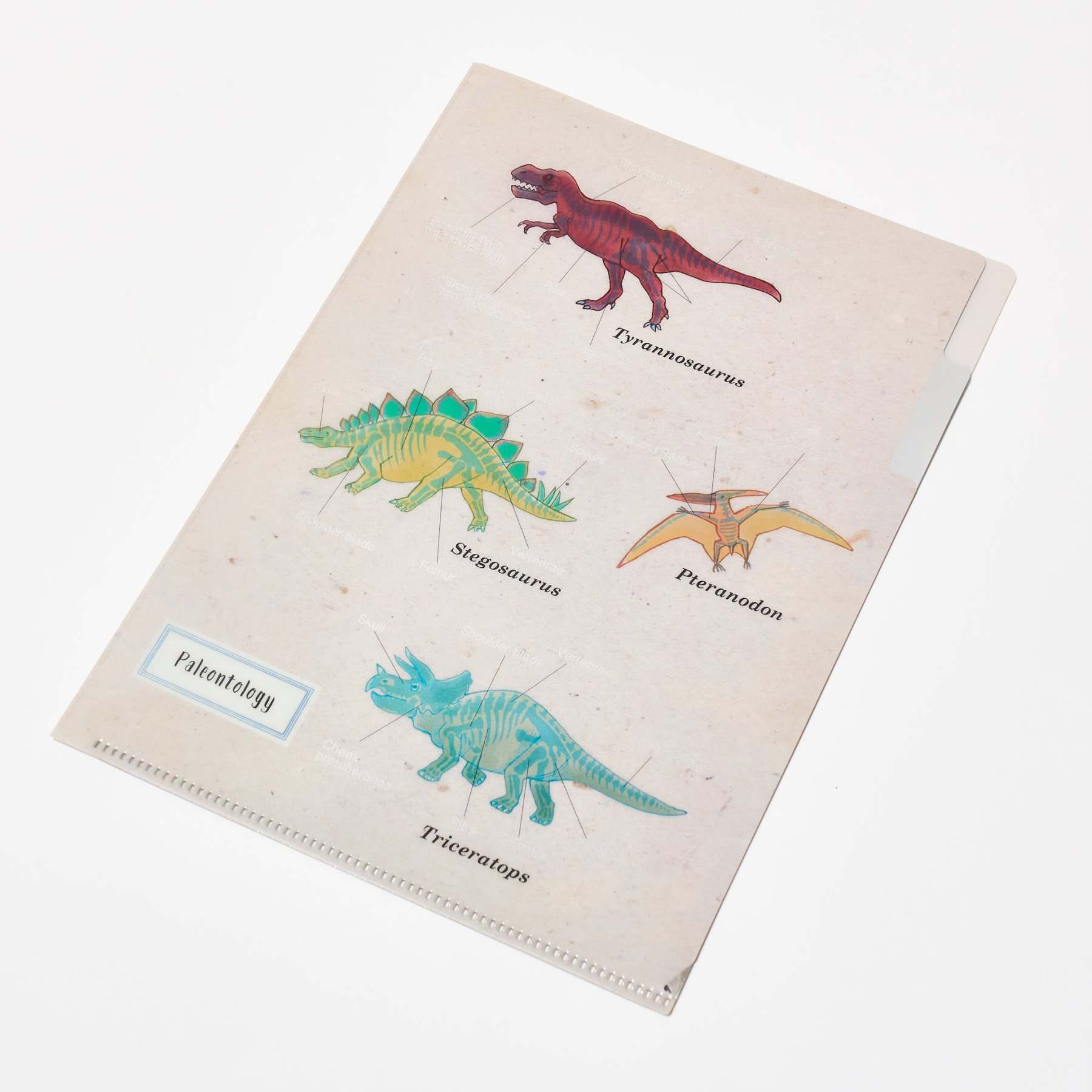 STUDY HOLIC A5 Pocket Clear File Folder / GreenFlash - bungu