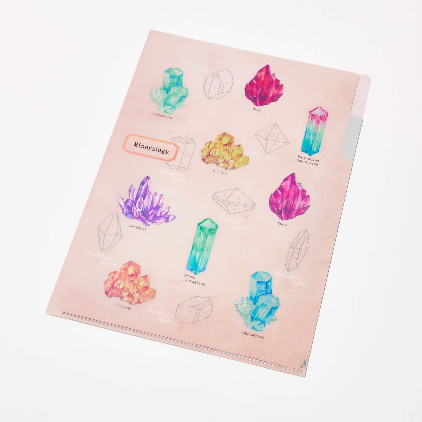 STUDY HOLIC A5 Pocket Clear File Folder / GreenFlash - bungu