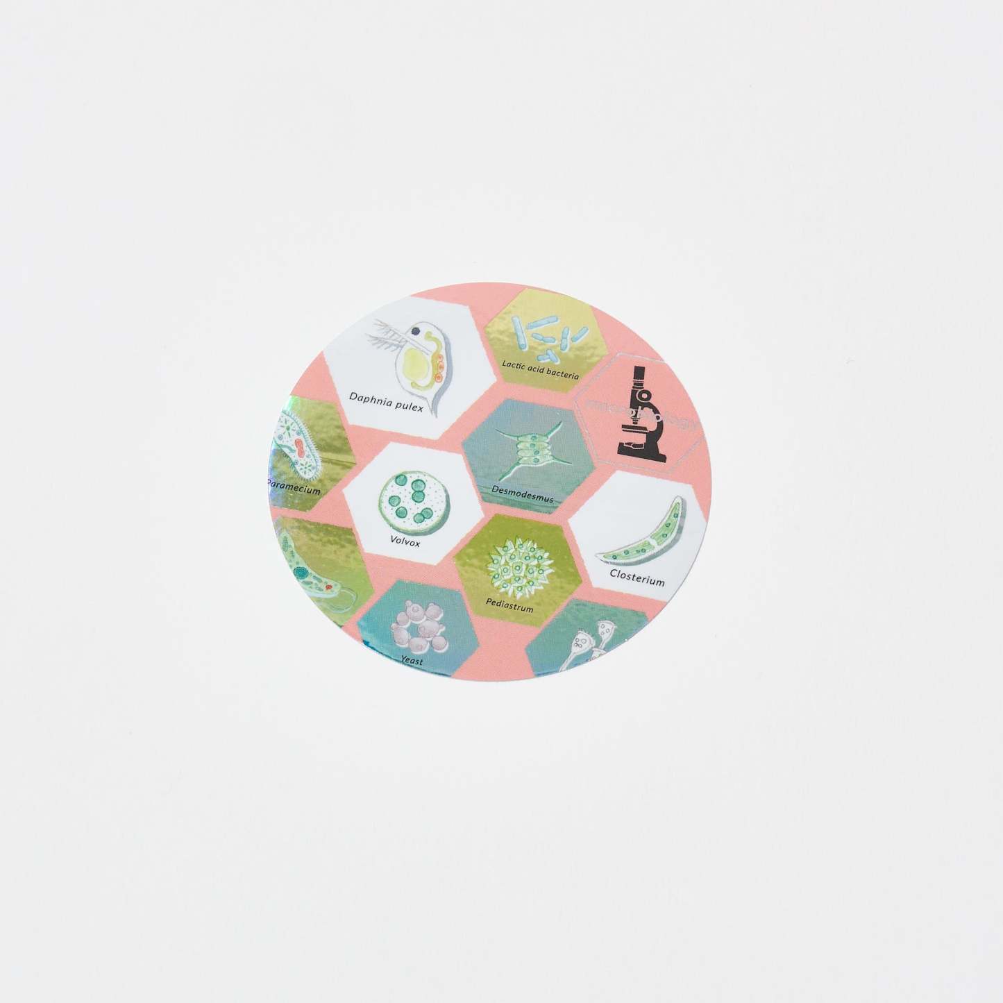 STUDY HOLIC Aurora Sticker / GreenFlash - bungu