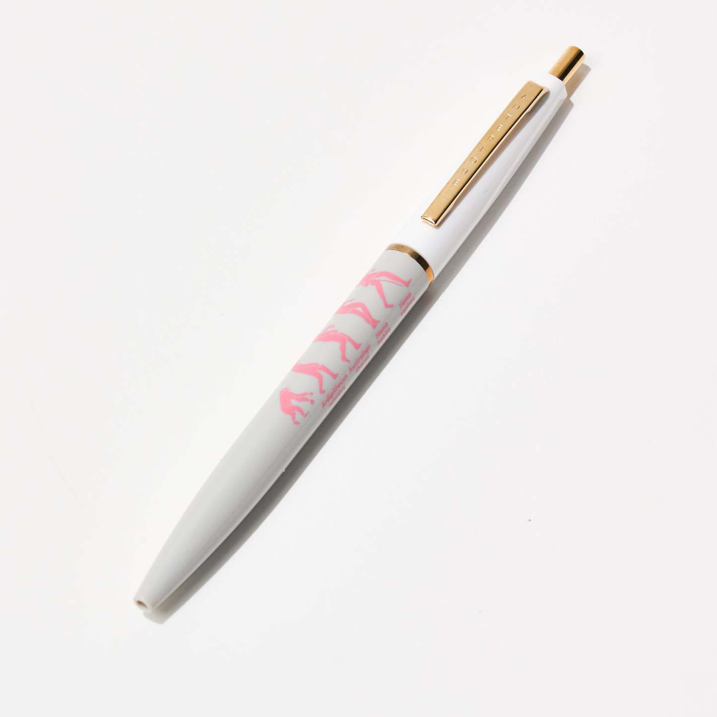 STUDY HOLIC Ballpoint Pen / GreenFlash - bungu